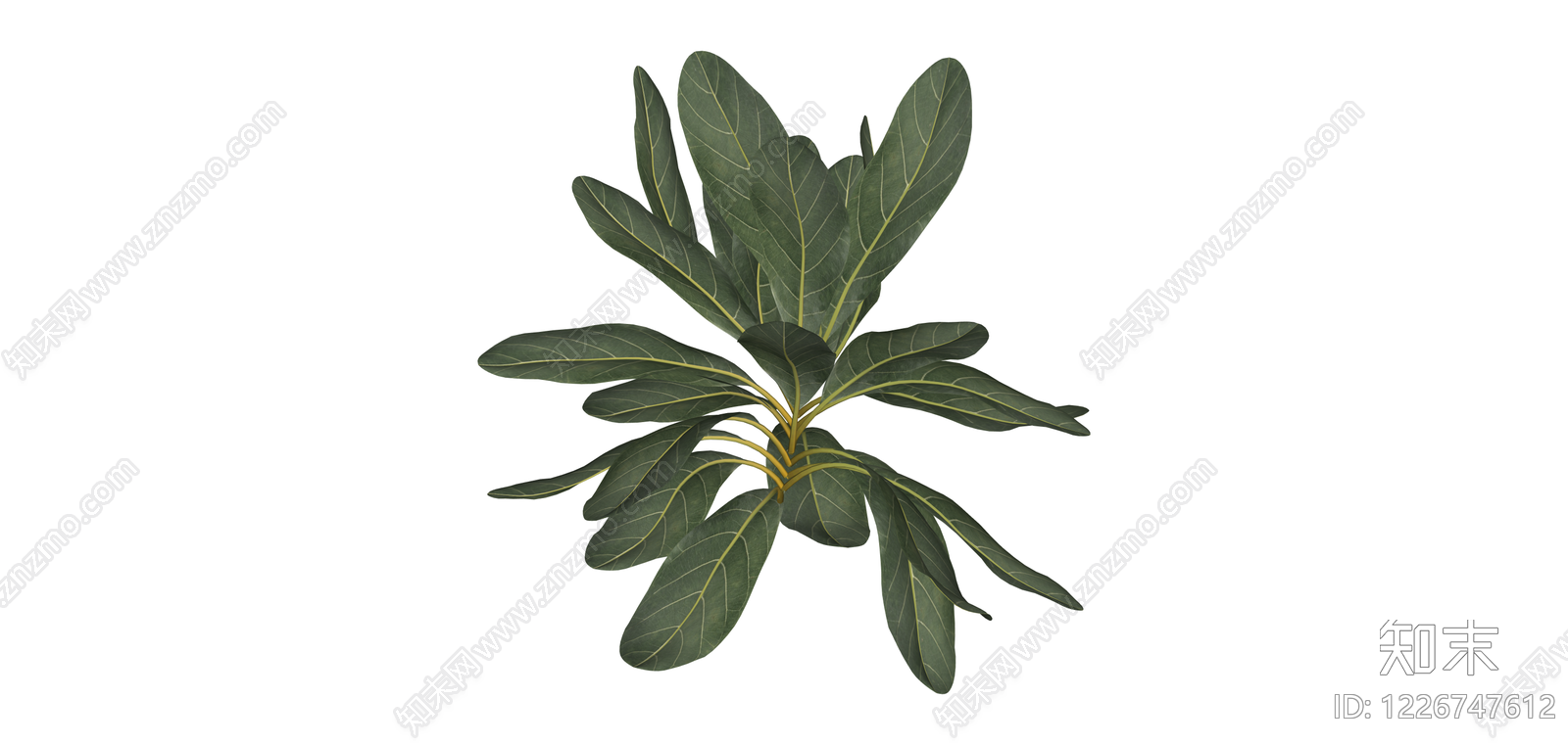 阔叶绿植盆栽SU模型下载【ID:1226747612】