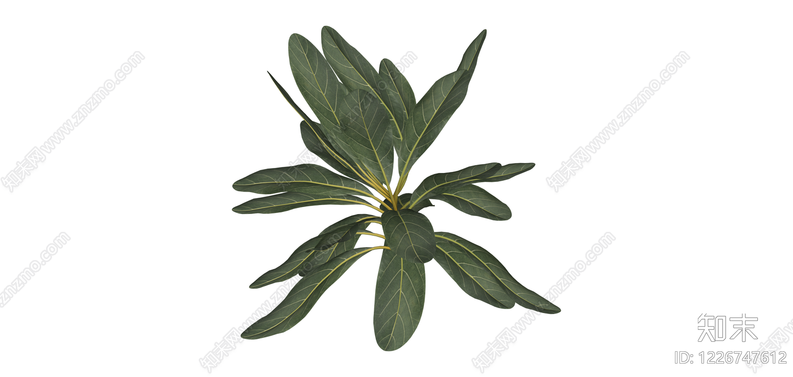 阔叶绿植盆栽SU模型下载【ID:1226747612】