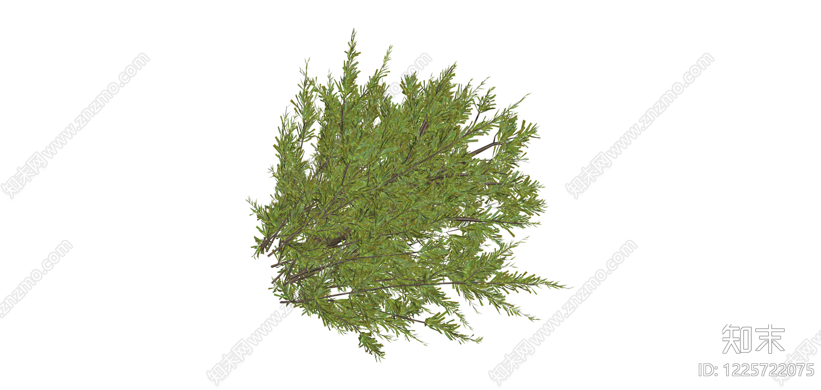 绿色针叶植物模型SU模型下载【ID:1225722075】