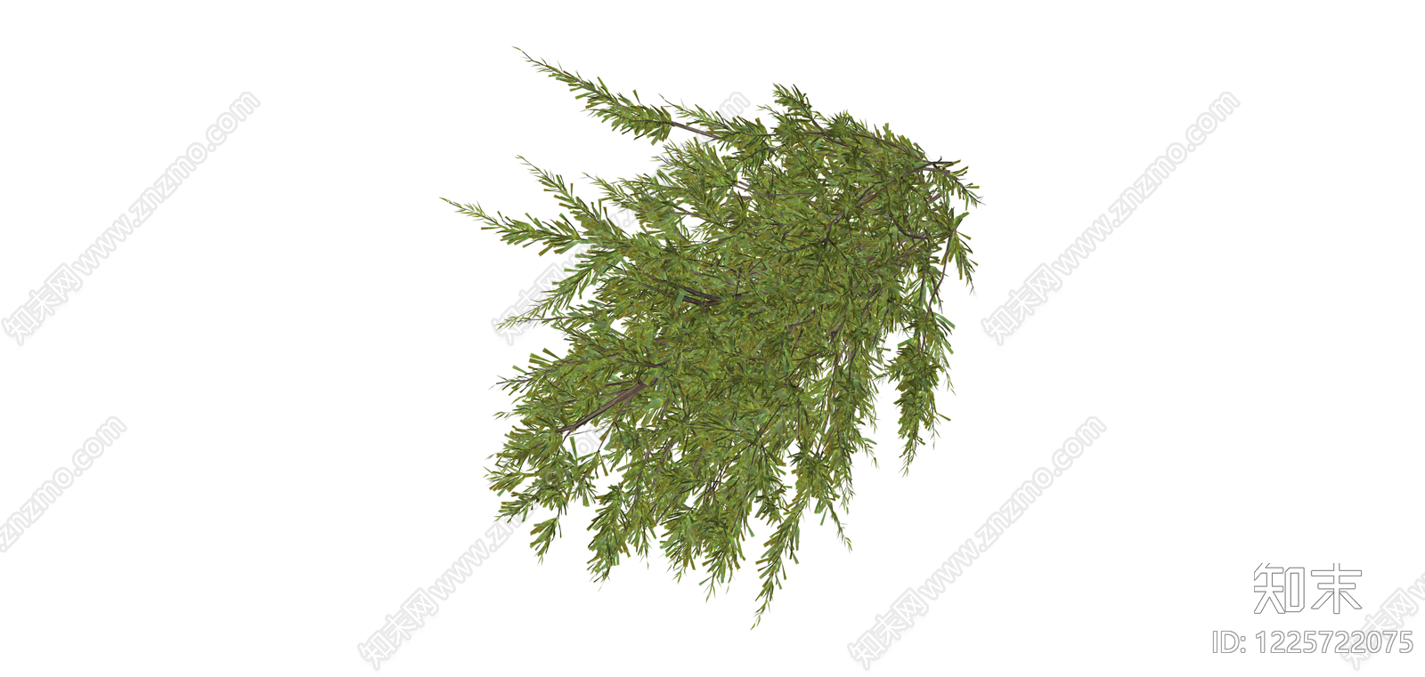绿色针叶植物模型SU模型下载【ID:1225722075】