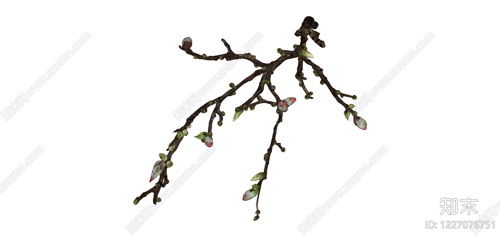带花苞树枝模型SU模型下载【ID:1227076751】