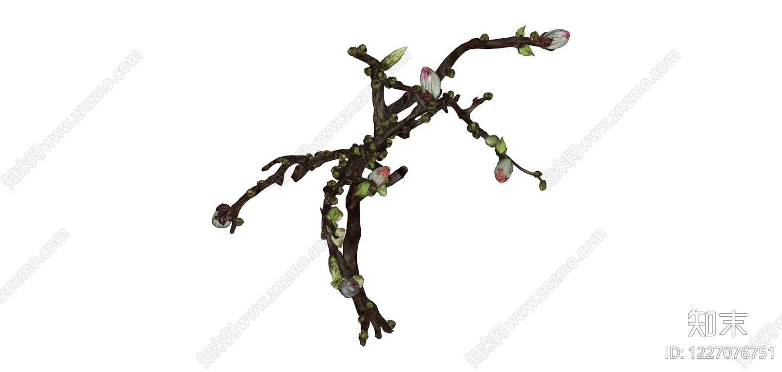带花苞树枝模型SU模型下载【ID:1227076751】