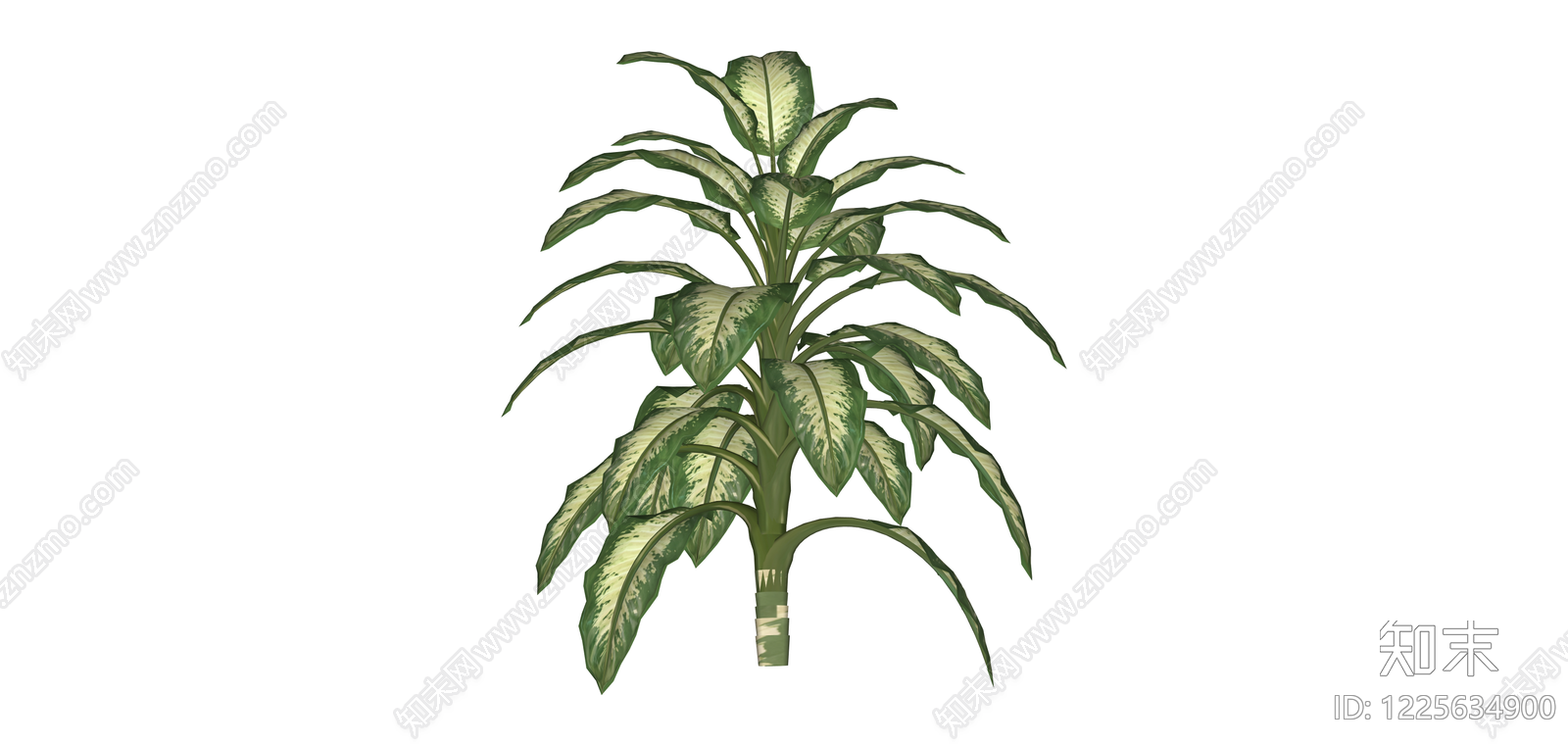 斑叶绿植盆栽SU模型下载【ID:1225634900】