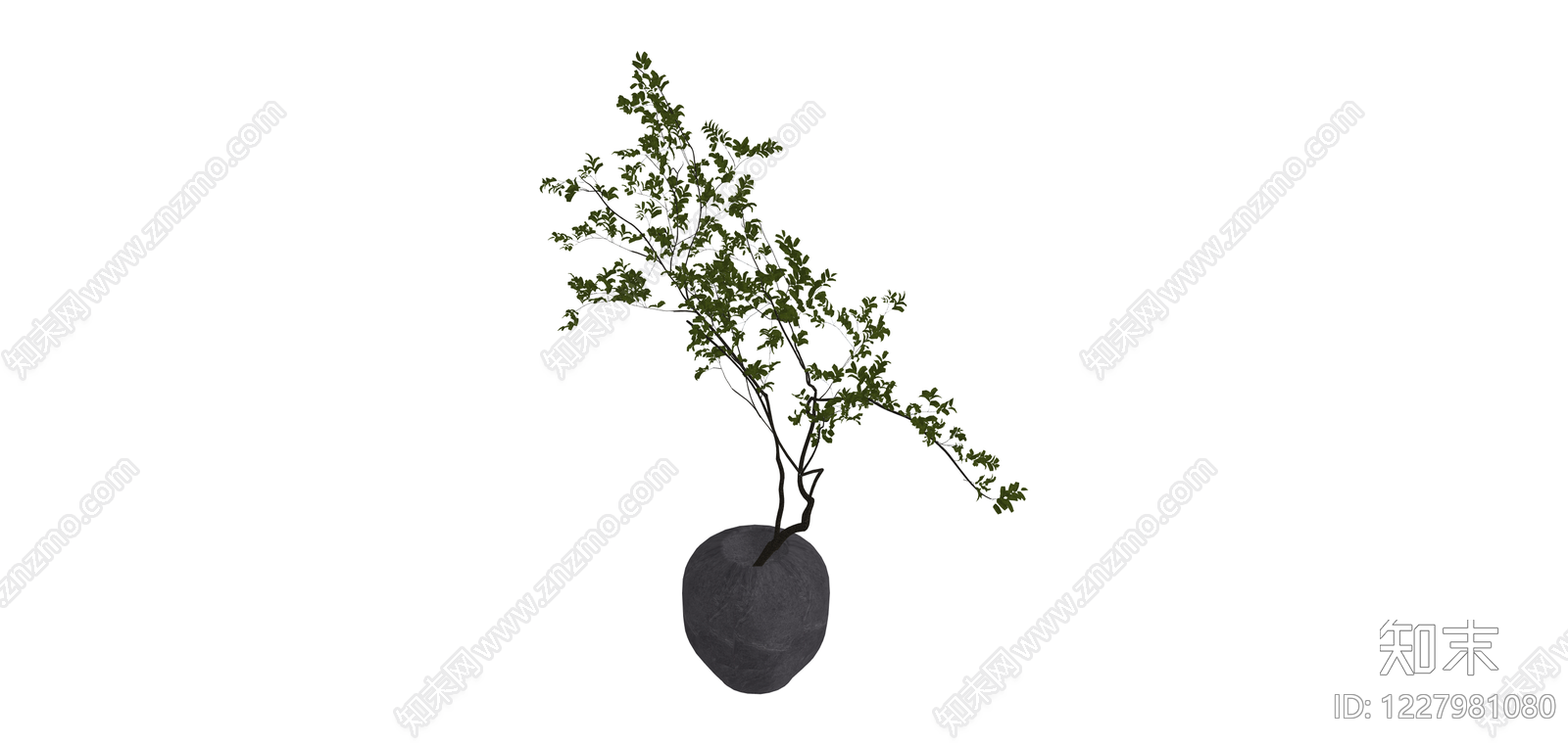 深色花瓶绿植盆栽SU模型下载【ID:1227981080】