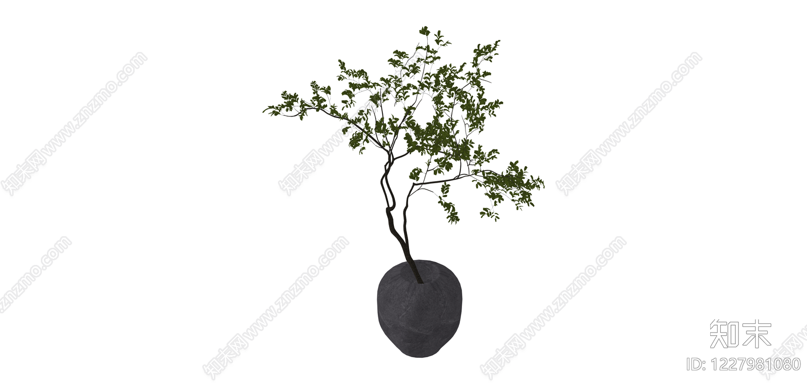 深色花瓶绿植盆栽SU模型下载【ID:1227981080】