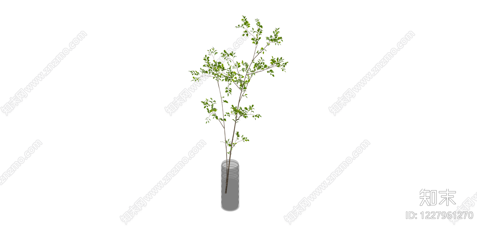 玻璃花瓶插枝绿植SU模型下载【ID:1227961270】