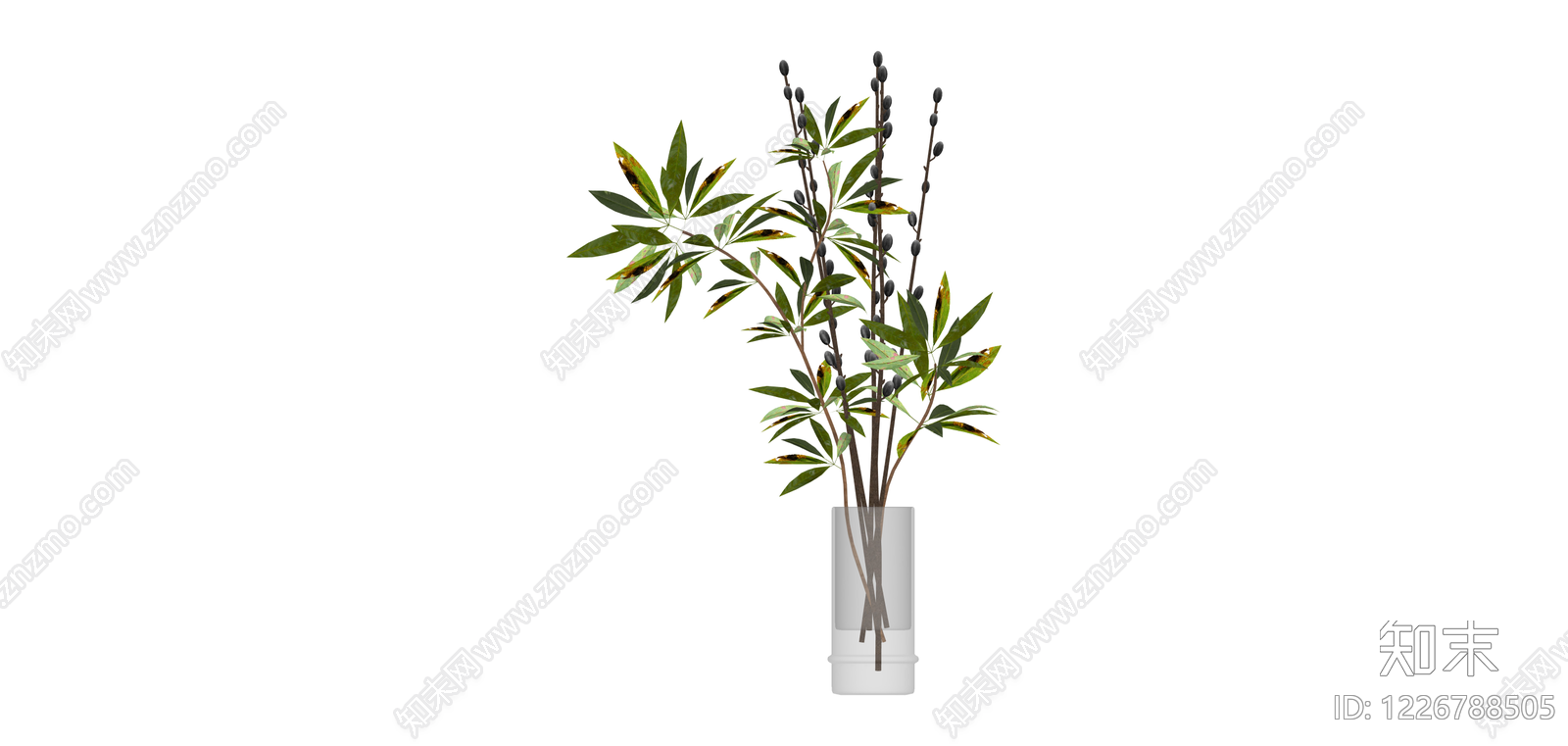玻璃花瓶插枝植物SU模型下载【ID:1226788505】