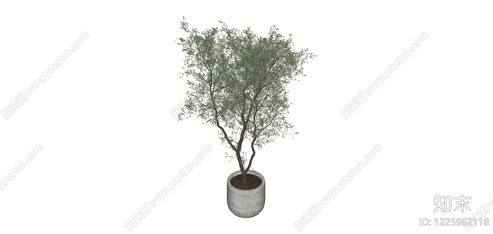 盆栽绿植树木SU模型下载【ID:1225962118】