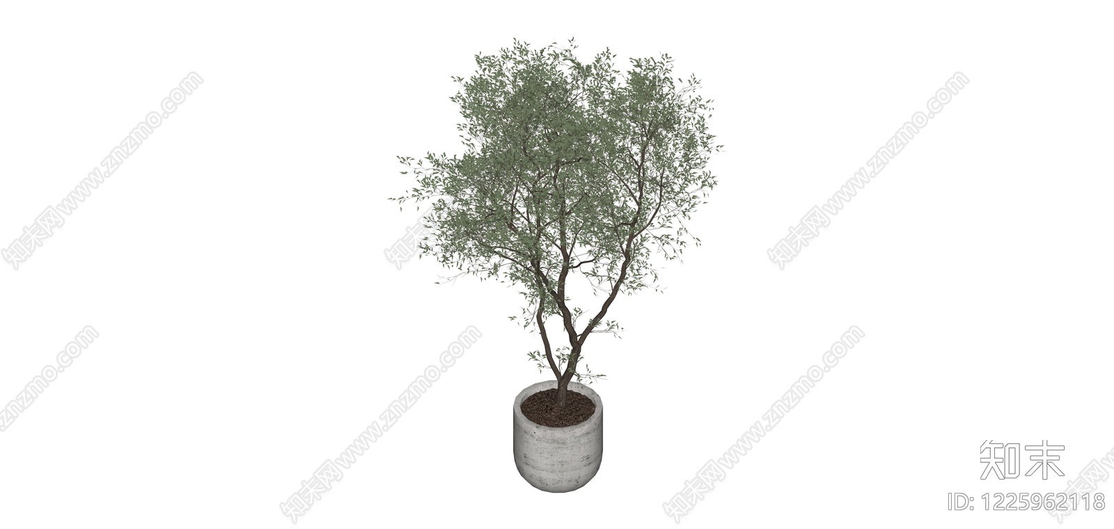 盆栽绿植树木SU模型下载【ID:1225962118】
