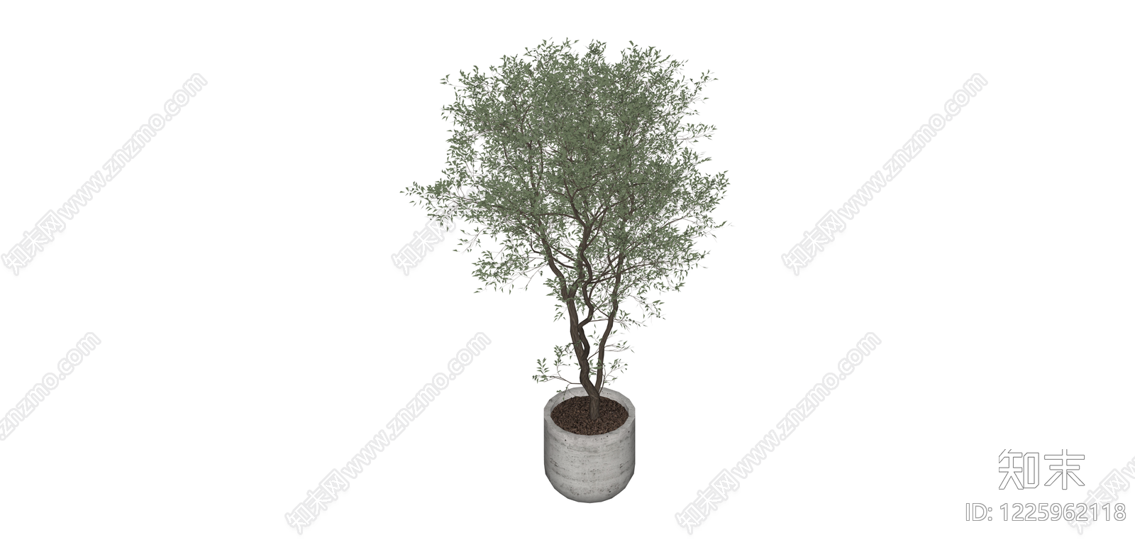 盆栽绿植树木SU模型下载【ID:1225962118】