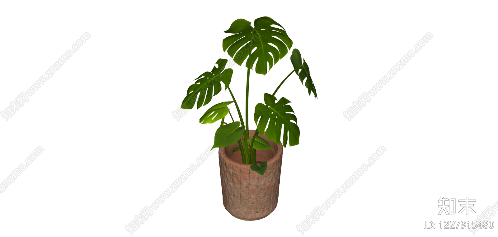 龟背竹盆栽模型SU模型下载【ID:1227915480】