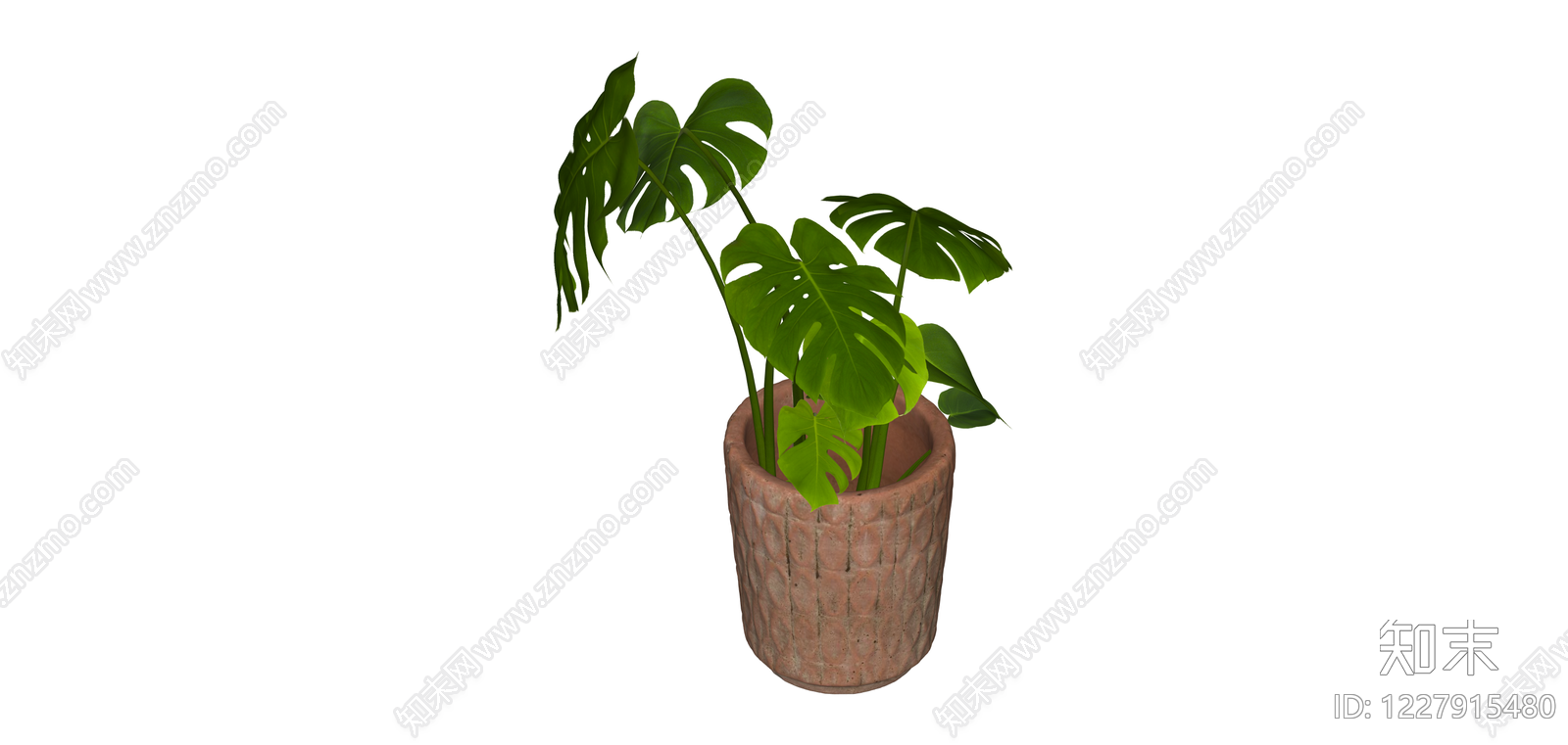 龟背竹盆栽模型SU模型下载【ID:1227915480】