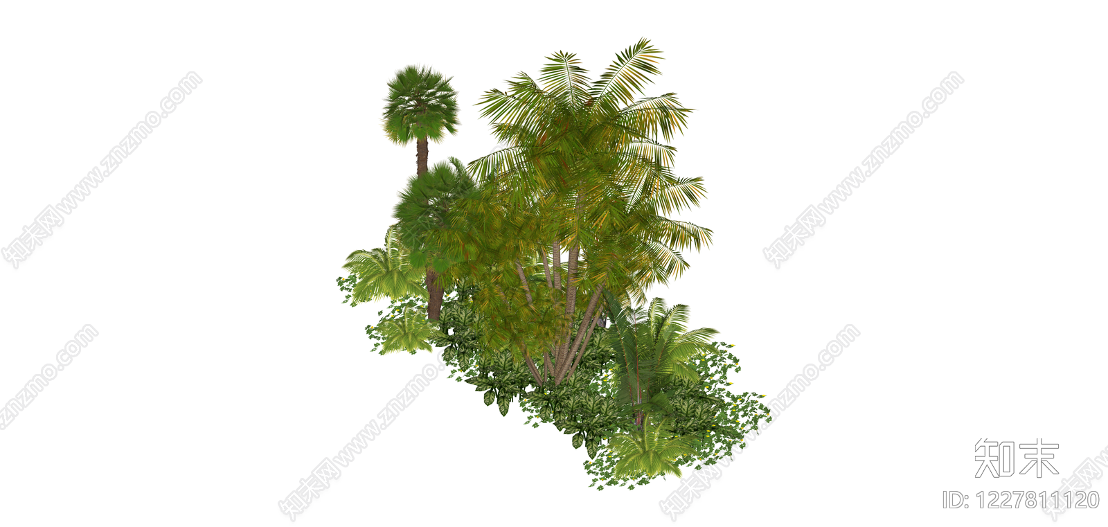 热带景观植物组合SU模型下载【ID:1227811120】