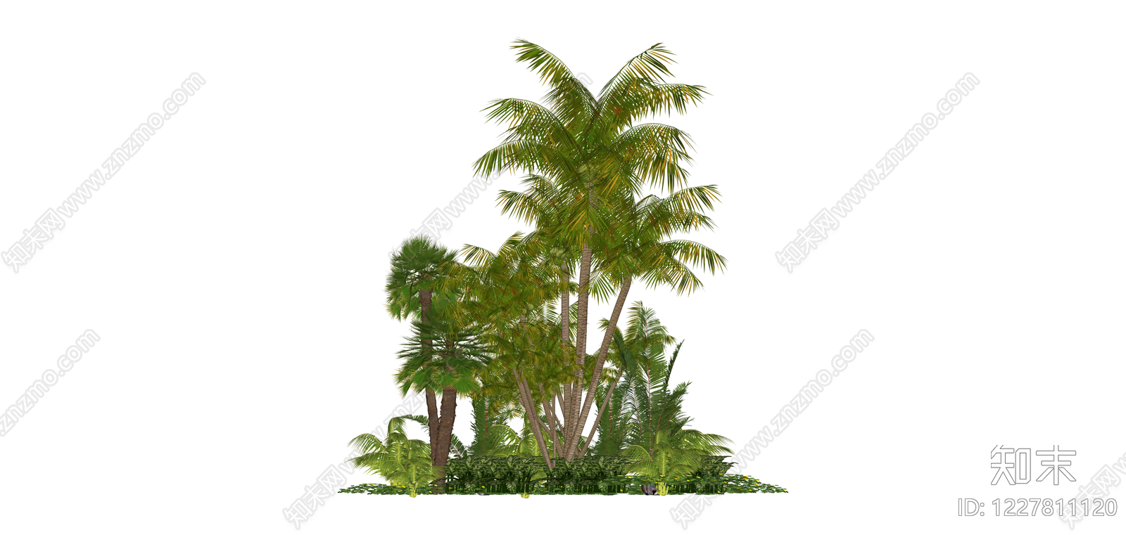 热带景观植物组合SU模型下载【ID:1227811120】