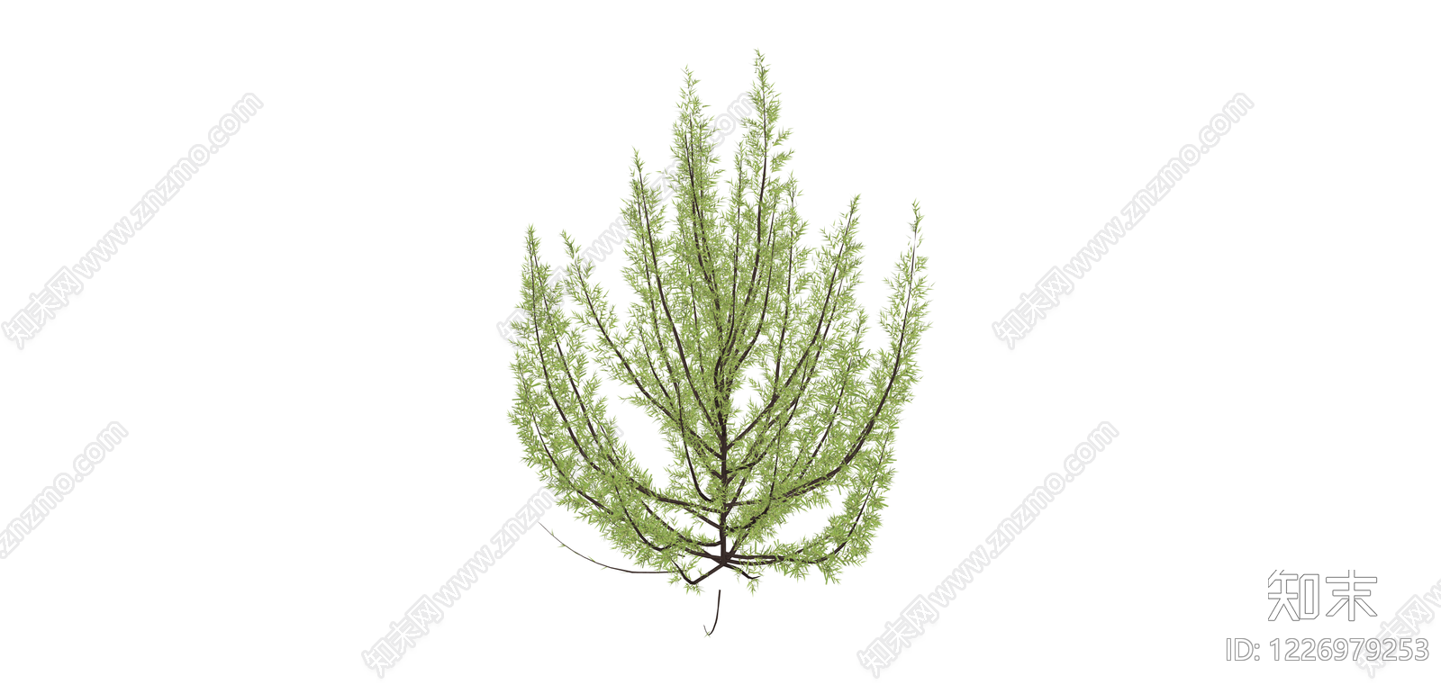 绿色丛生灌木模型SU模型下载【ID:1226979253】
