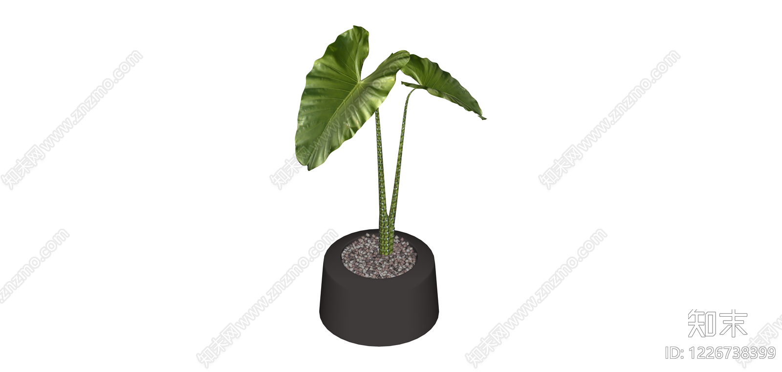 带盆海芋绿植盆栽SU模型下载【ID:1226738399】