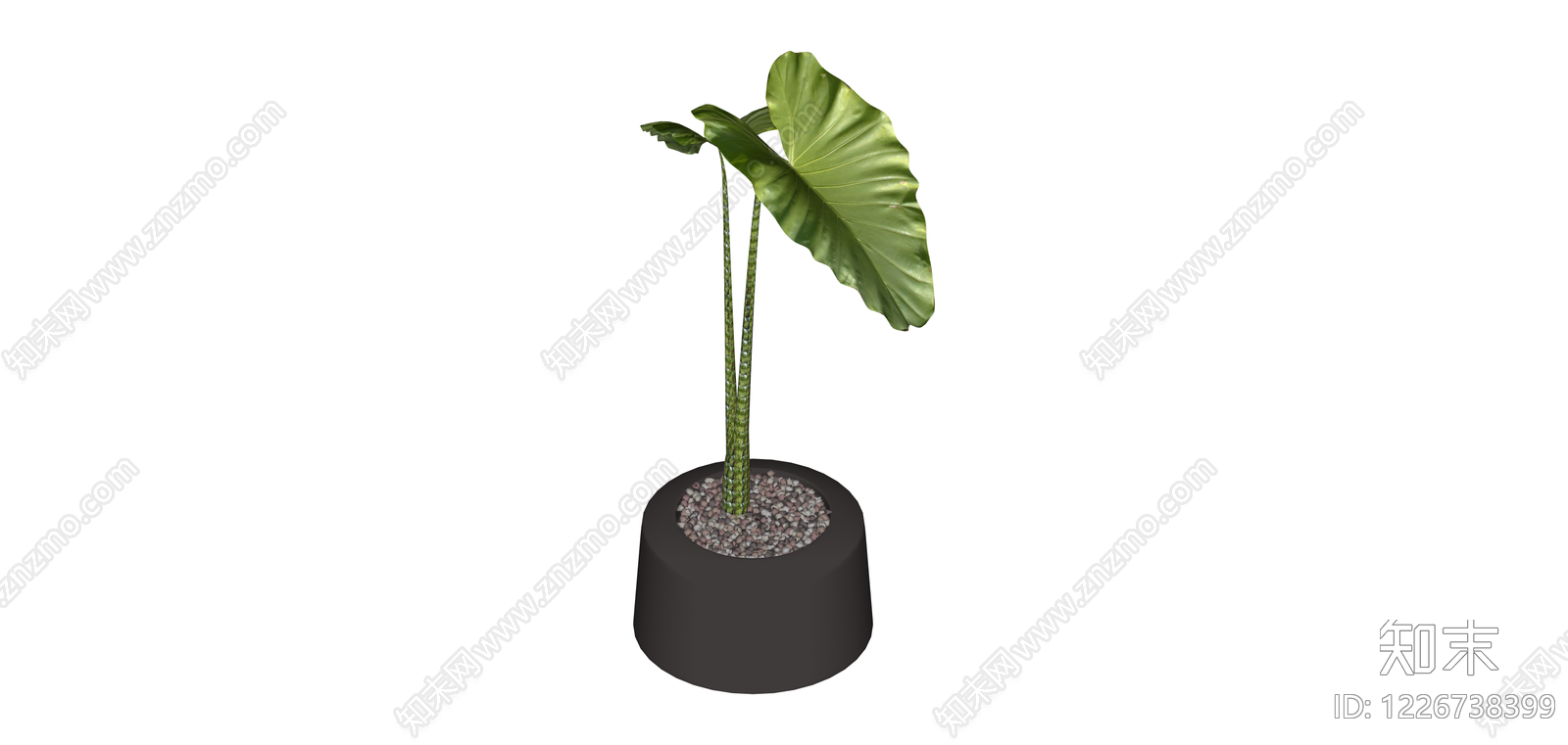 带盆海芋绿植盆栽SU模型下载【ID:1226738399】