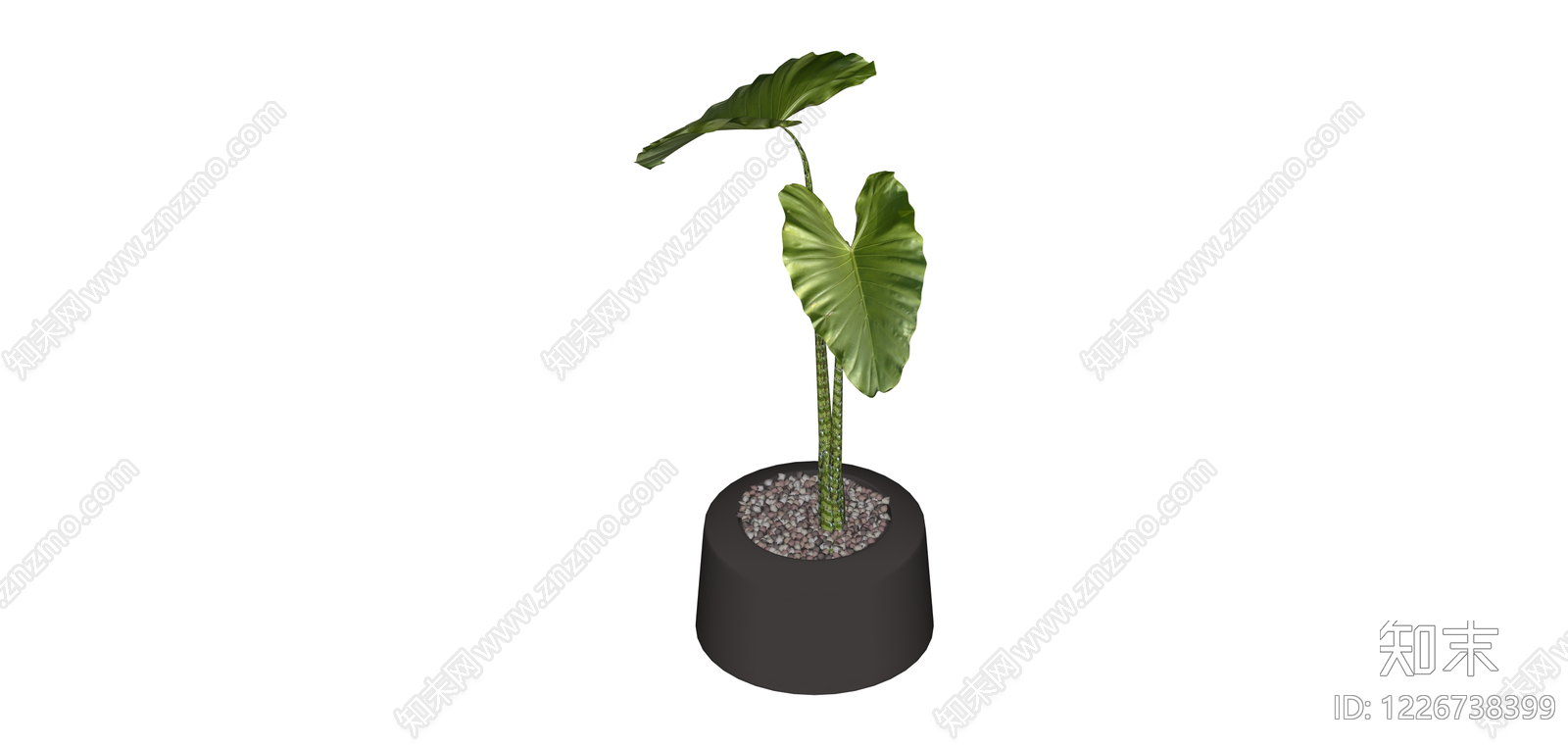 带盆海芋绿植盆栽SU模型下载【ID:1226738399】
