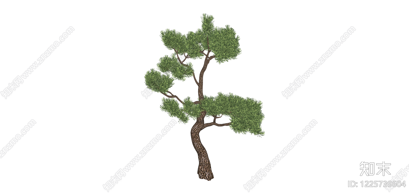 造型松树景观树SU模型下载【ID:1225739604】