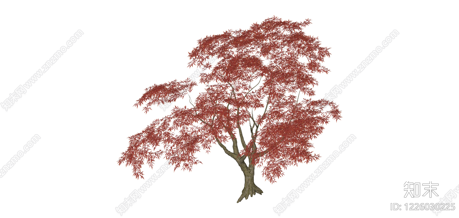 红枫景观树SU模型下载【ID:1226030225】