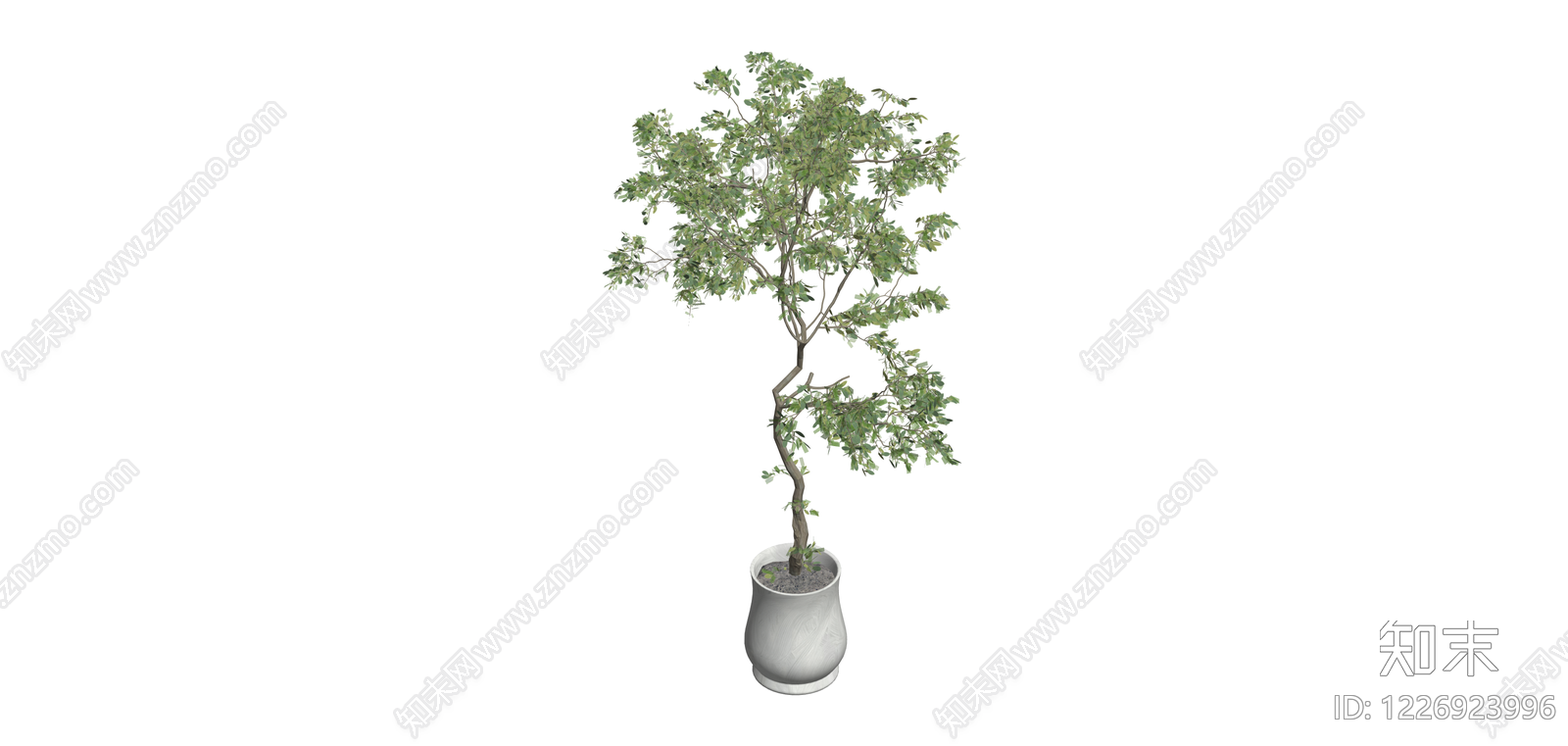 盆栽绿植SU模型下载【ID:1226923996】