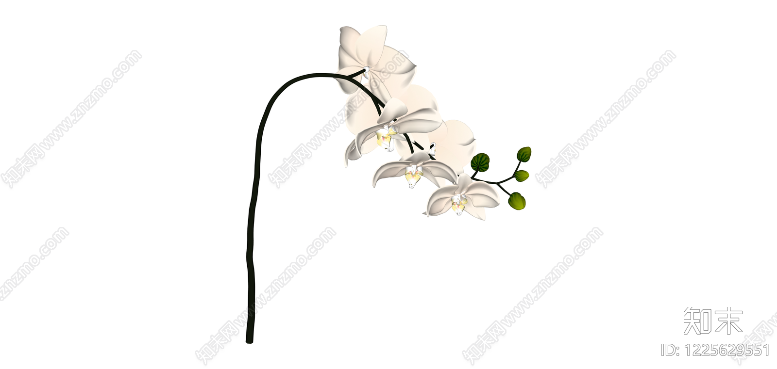 白色蝴蝶兰盆栽SU模型下载【ID:1225629551】
