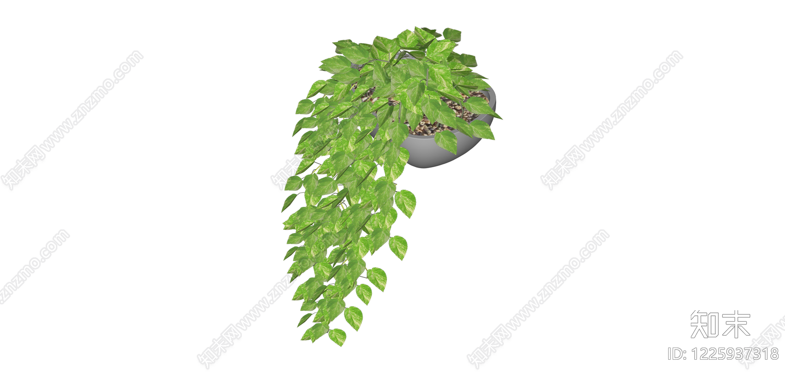灰色圆盆垂吊绿植SU模型下载【ID:1225937318】