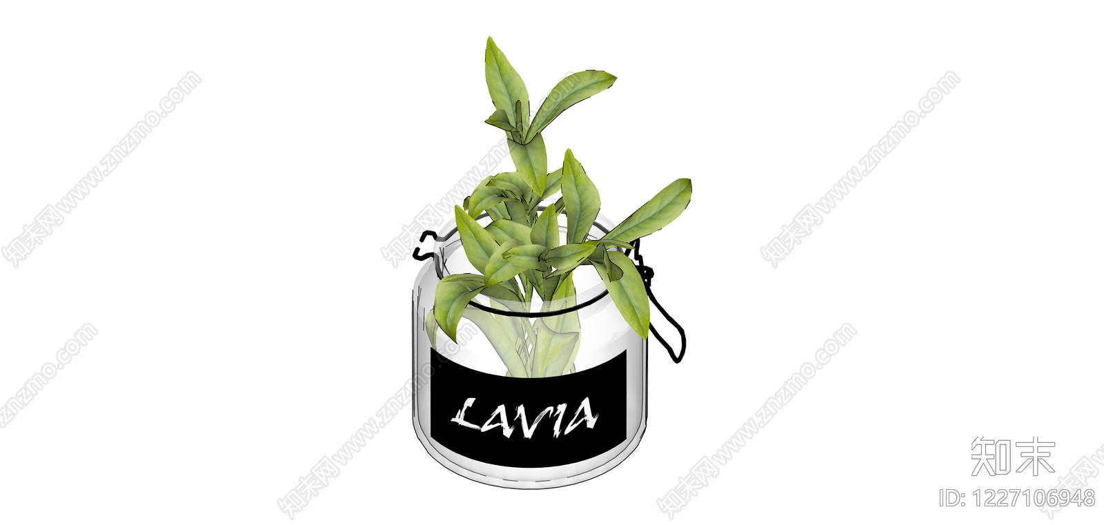 带标签玻璃植物罐SU模型下载【ID:1227106948】