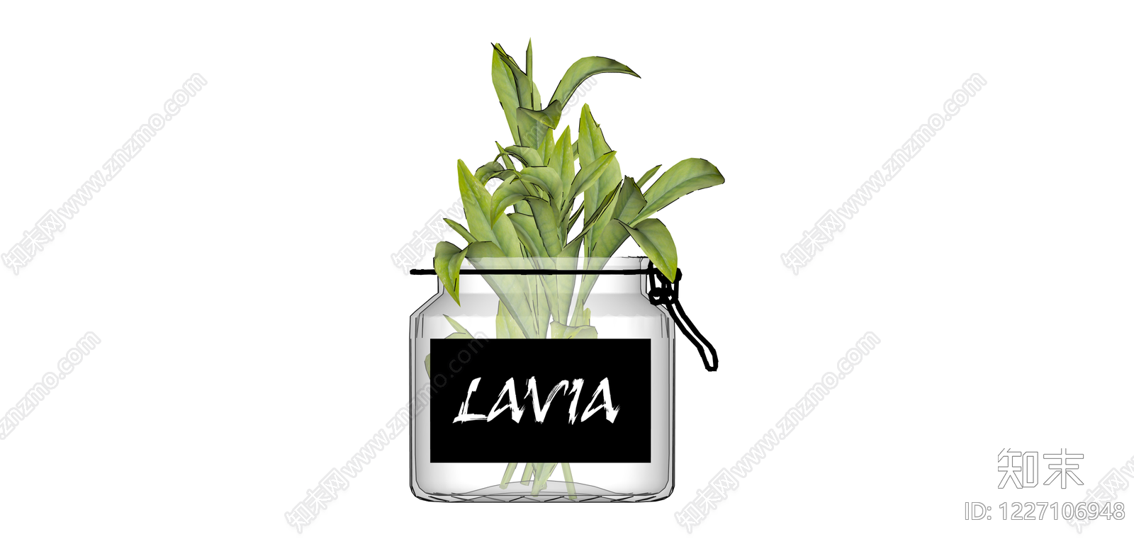带标签玻璃植物罐SU模型下载【ID:1227106948】