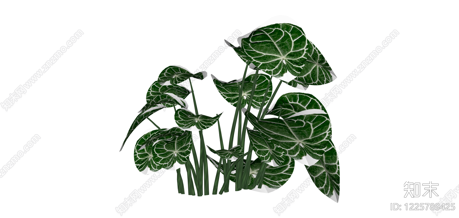 白锦花烛盆栽绿植SU模型下载【ID:1225789425】