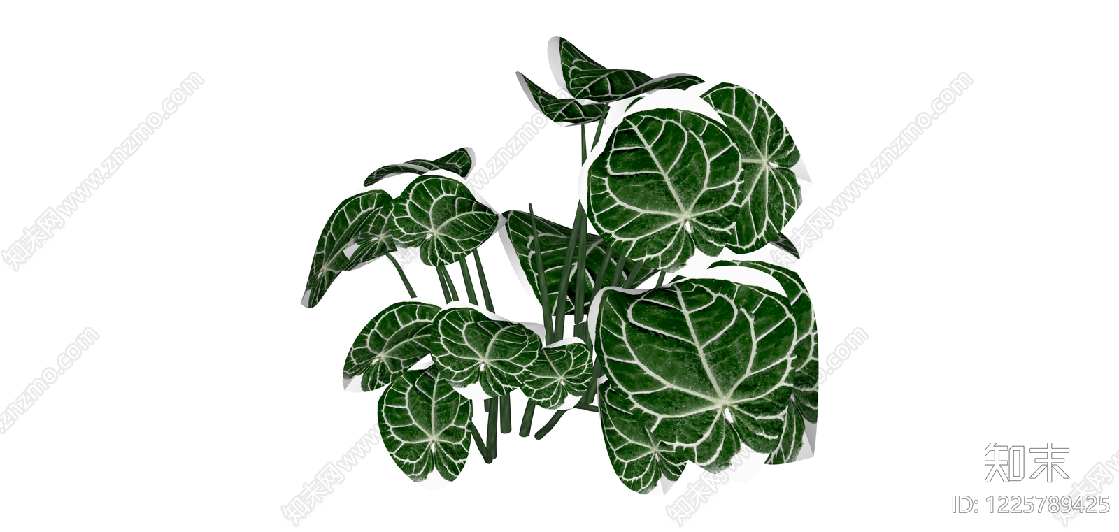 白锦花烛盆栽绿植SU模型下载【ID:1225789425】