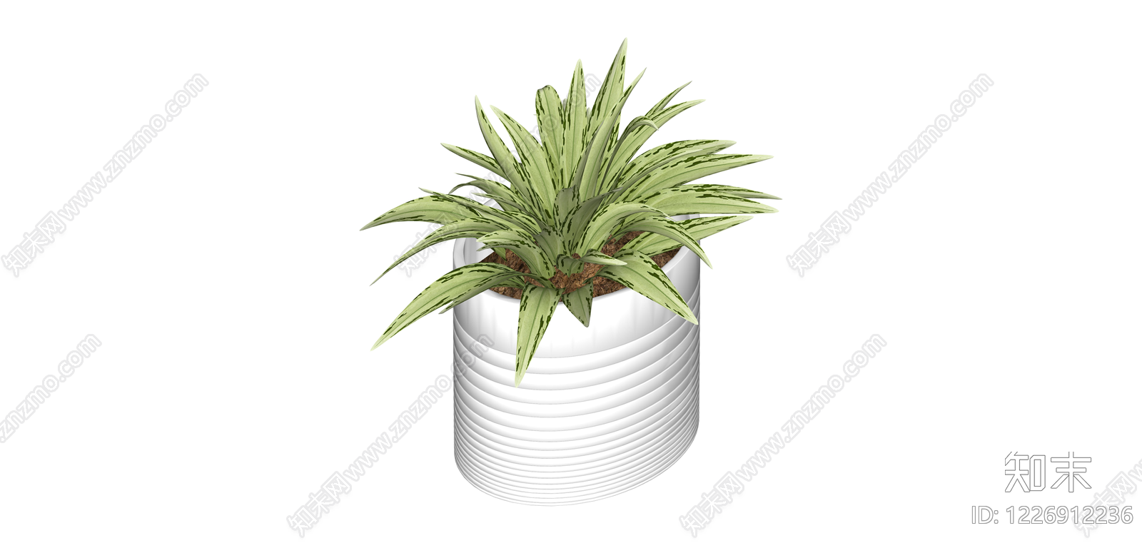 带盆虎尾兰盆栽SU模型下载【ID:1226912236】