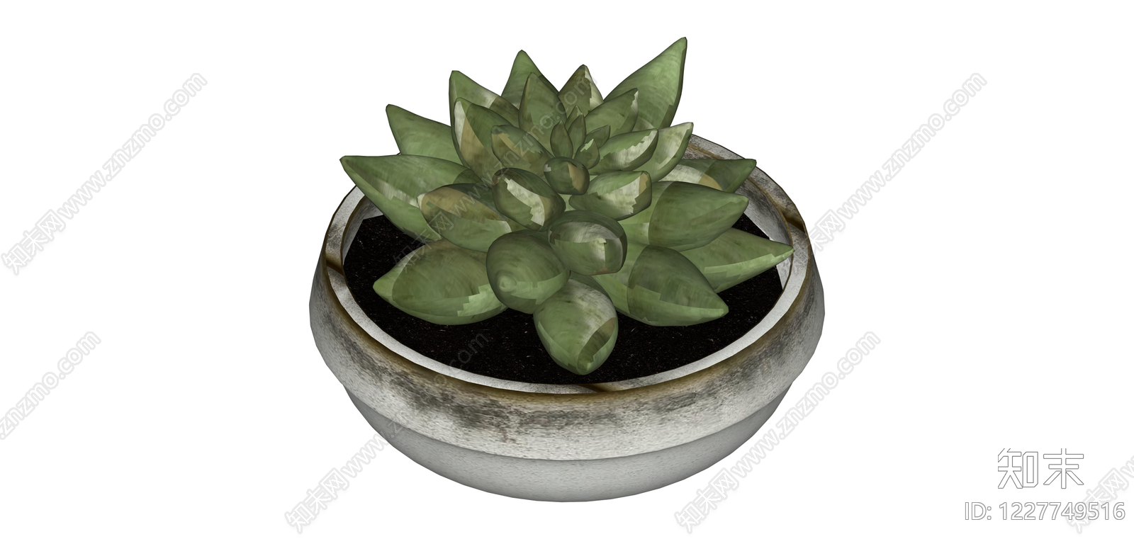 盆栽多肉植物SU模型下载【ID:1227749516】
