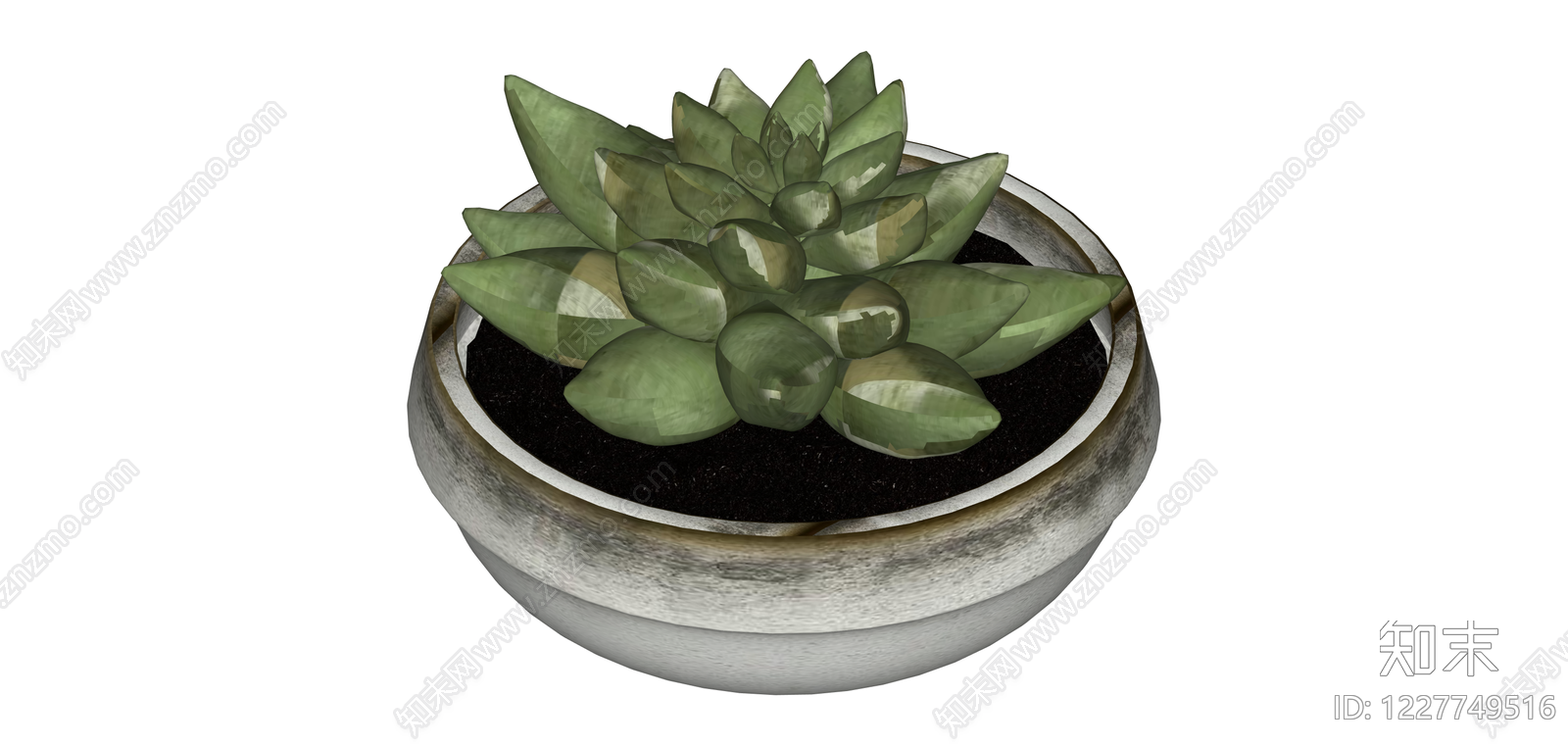 盆栽多肉植物SU模型下载【ID:1227749516】