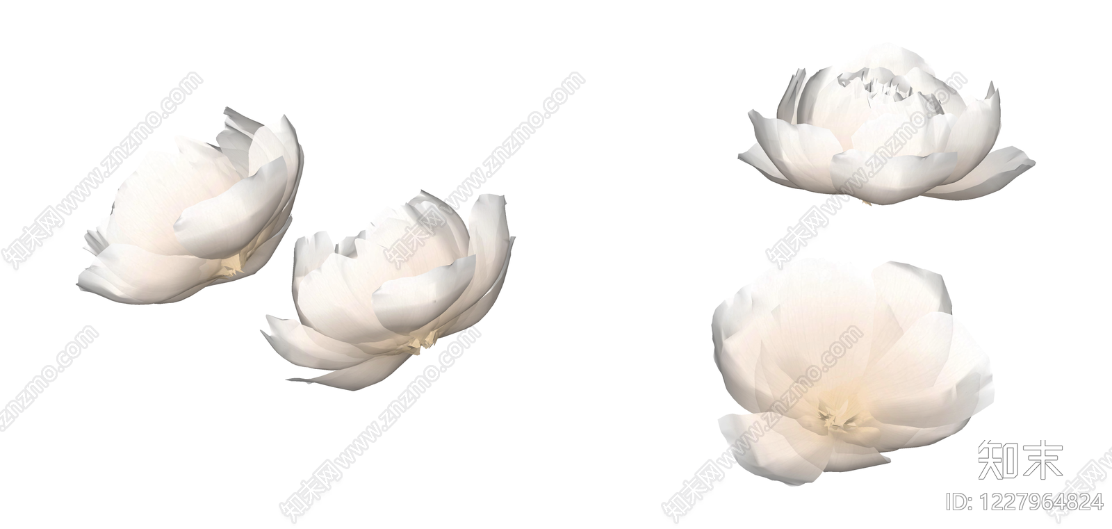 白色牡丹花艺组合SU模型下载【ID:1227964824】