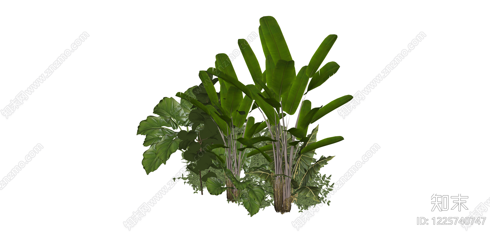 热带植物景观组合SU模型下载【ID:1225740747】