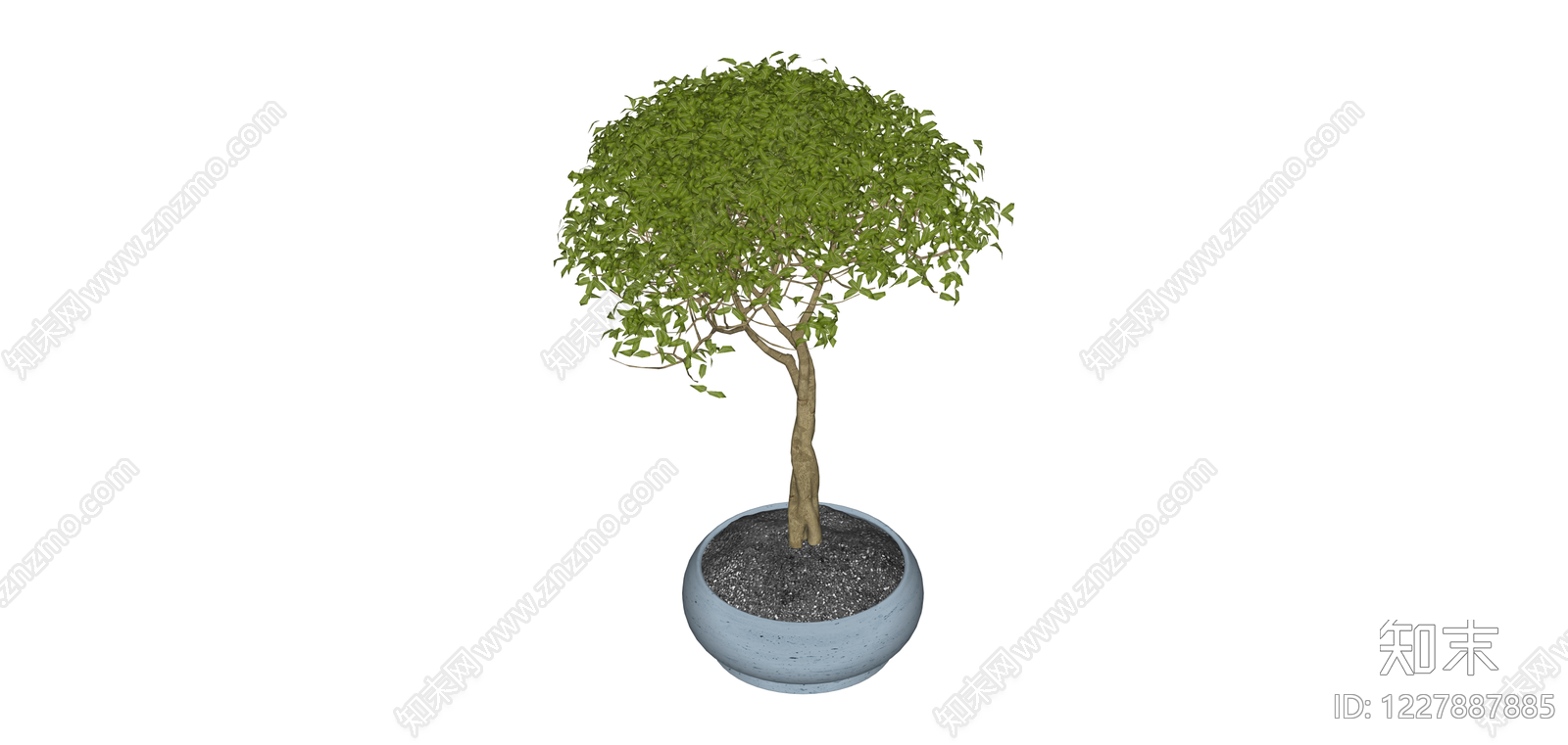 造型盆景盆栽模型SU模型下载【ID:1227887885】