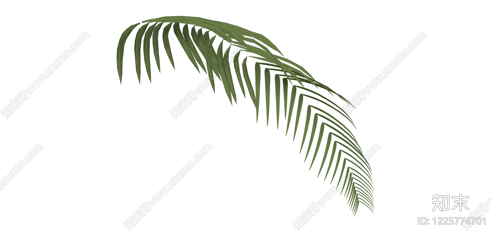 绿色棕榈植物叶片SU模型下载【ID:1225774701】