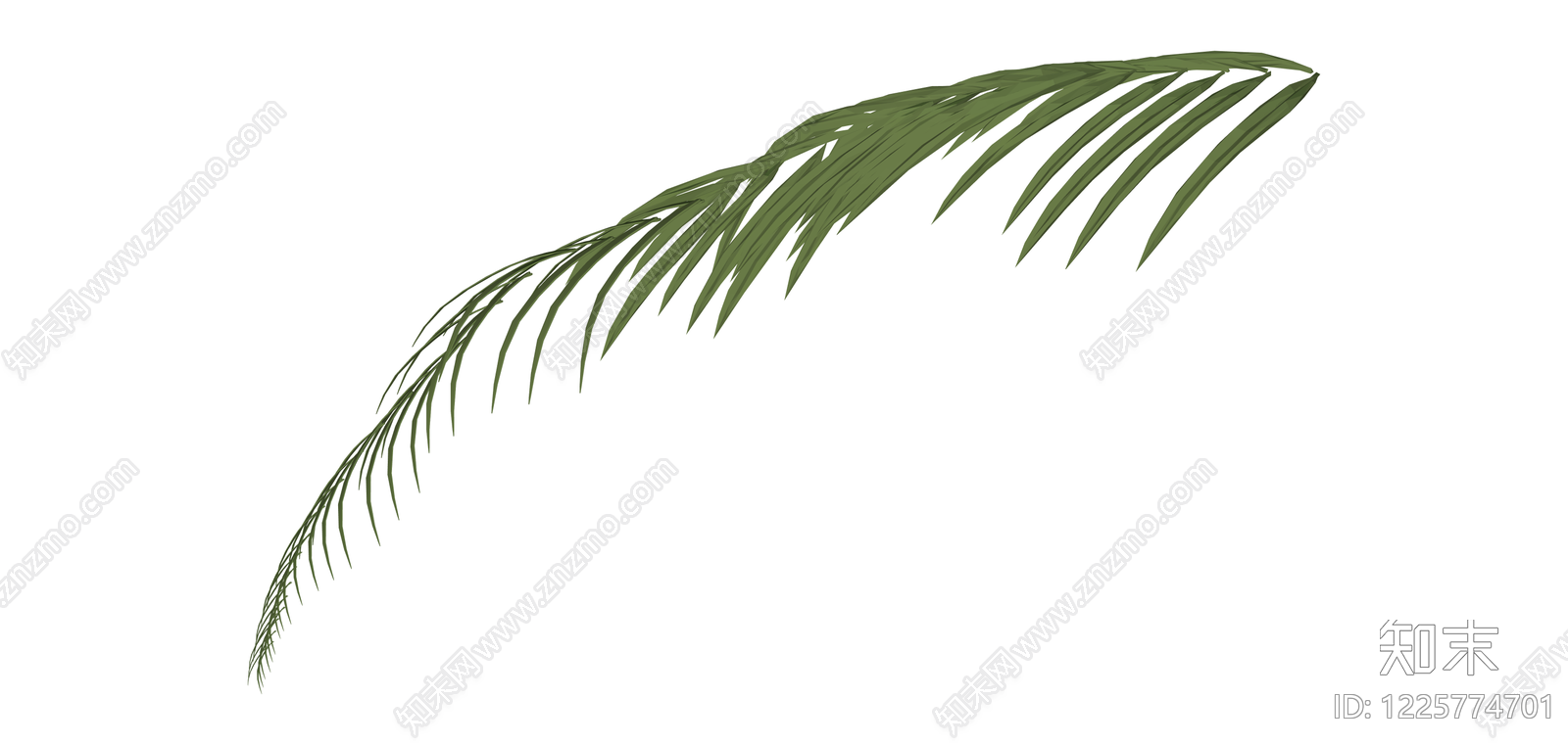 绿色棕榈植物叶片SU模型下载【ID:1225774701】
