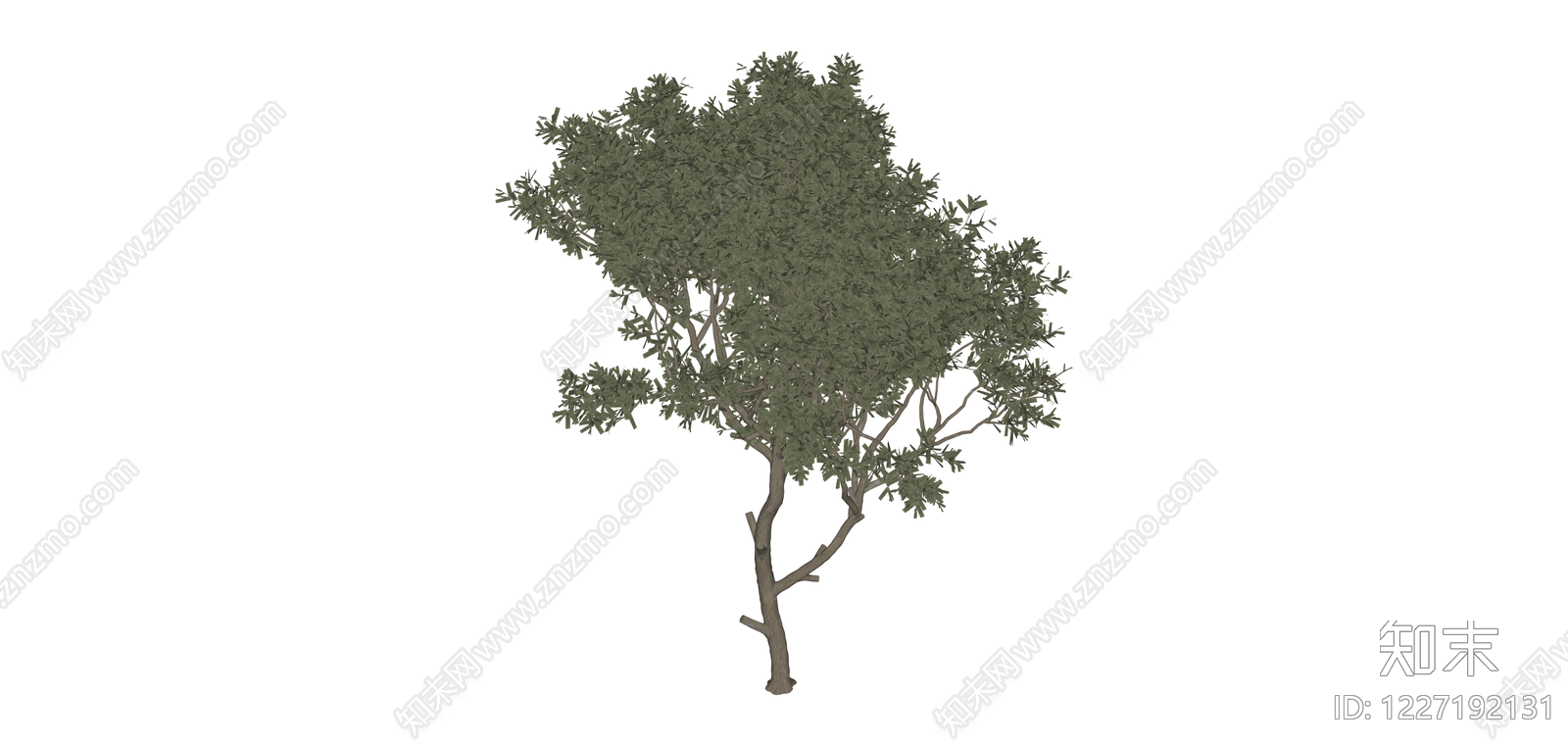 多视角完整景观树木SU模型下载【ID:1227192131】