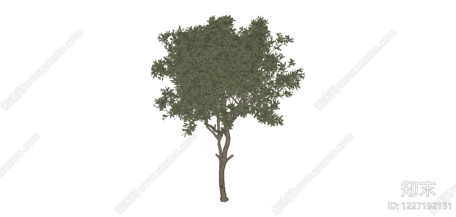 多视角完整景观树木SU模型下载【ID:1227192131】