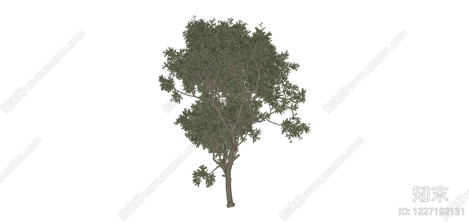 多视角完整景观树木SU模型下载【ID:1227192131】