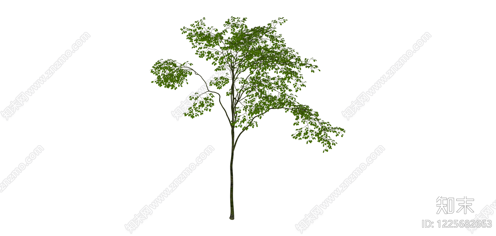 独立景观乔木模型SU模型下载【ID:1225682663】