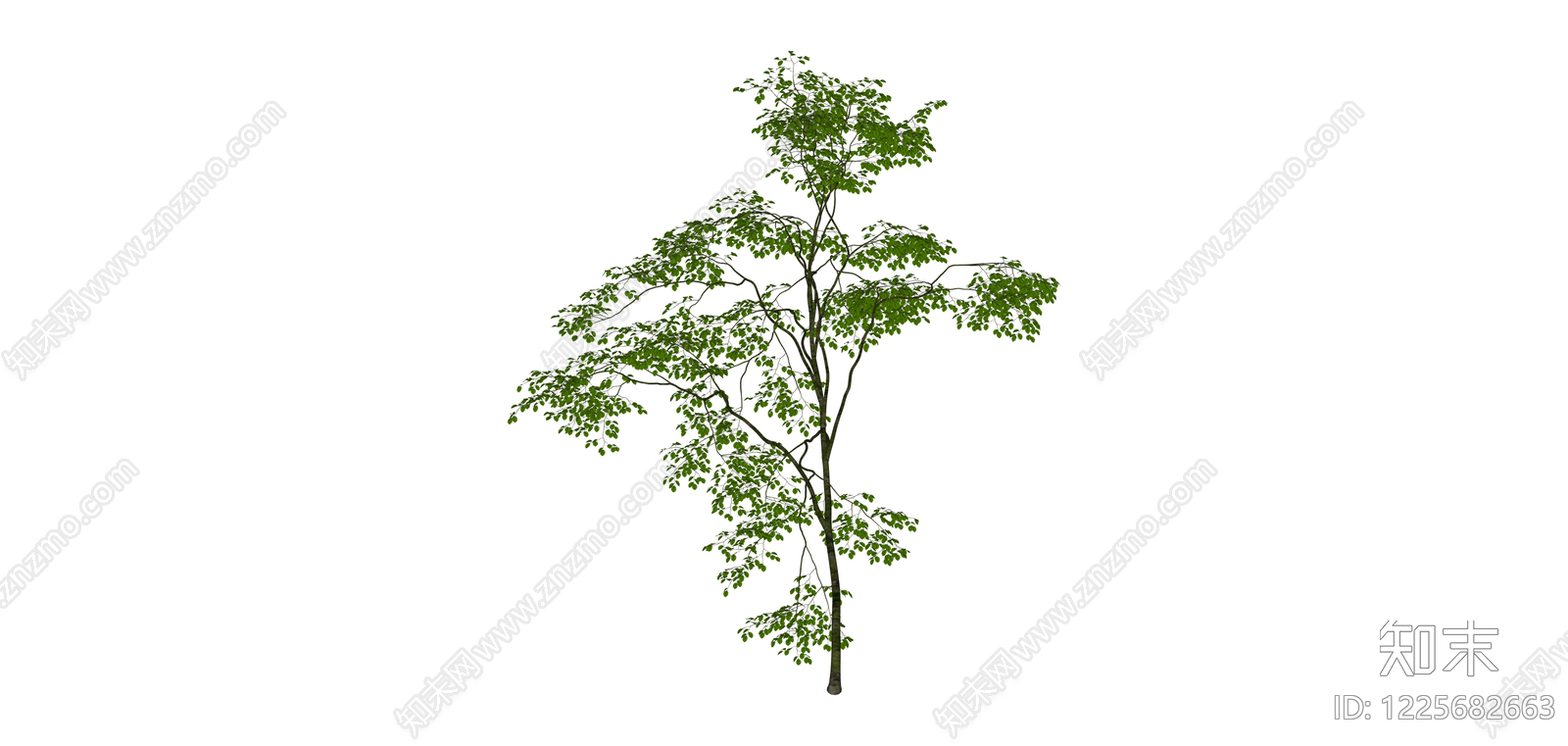独立景观乔木模型SU模型下载【ID:1225682663】