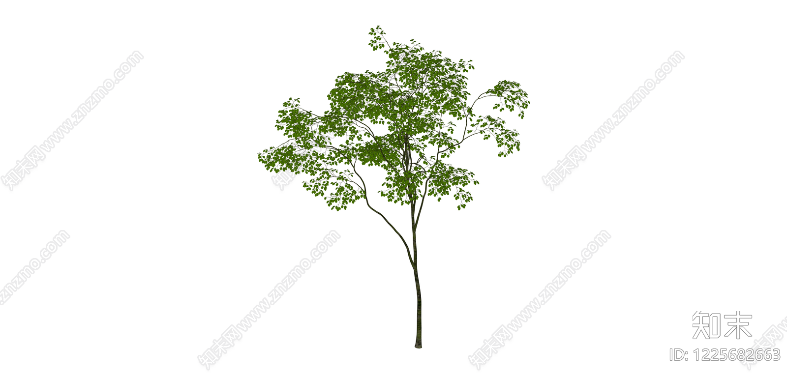独立景观乔木模型SU模型下载【ID:1225682663】