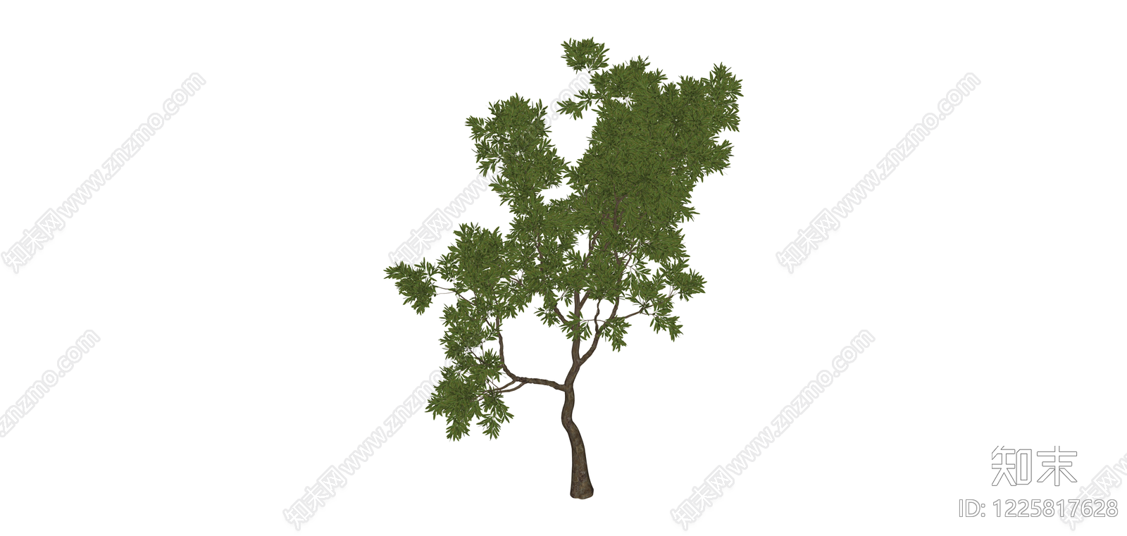 带盆完整景观树SU模型下载【ID:1225817628】