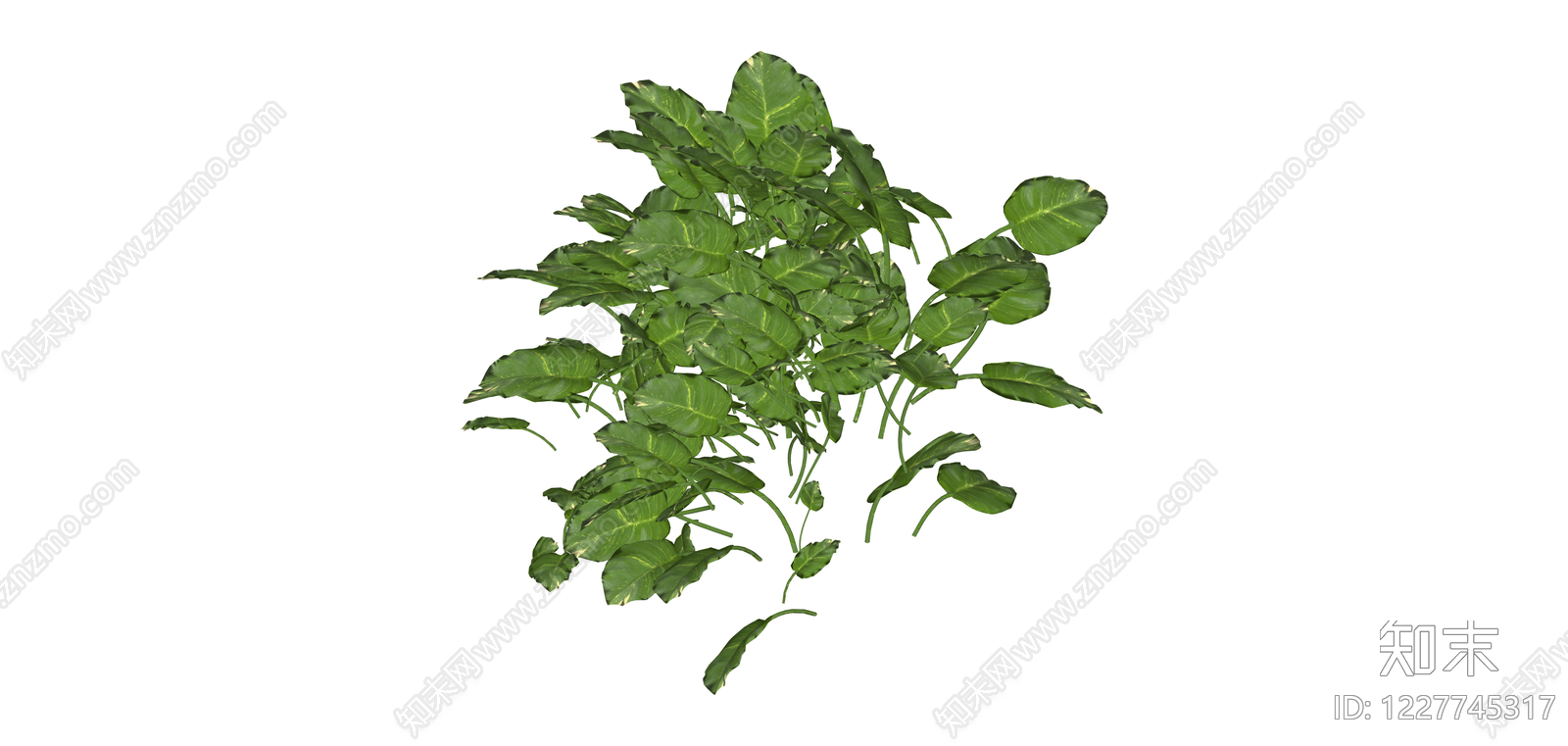 丛生绿叶灌木植物SU模型下载【ID:1227745317】