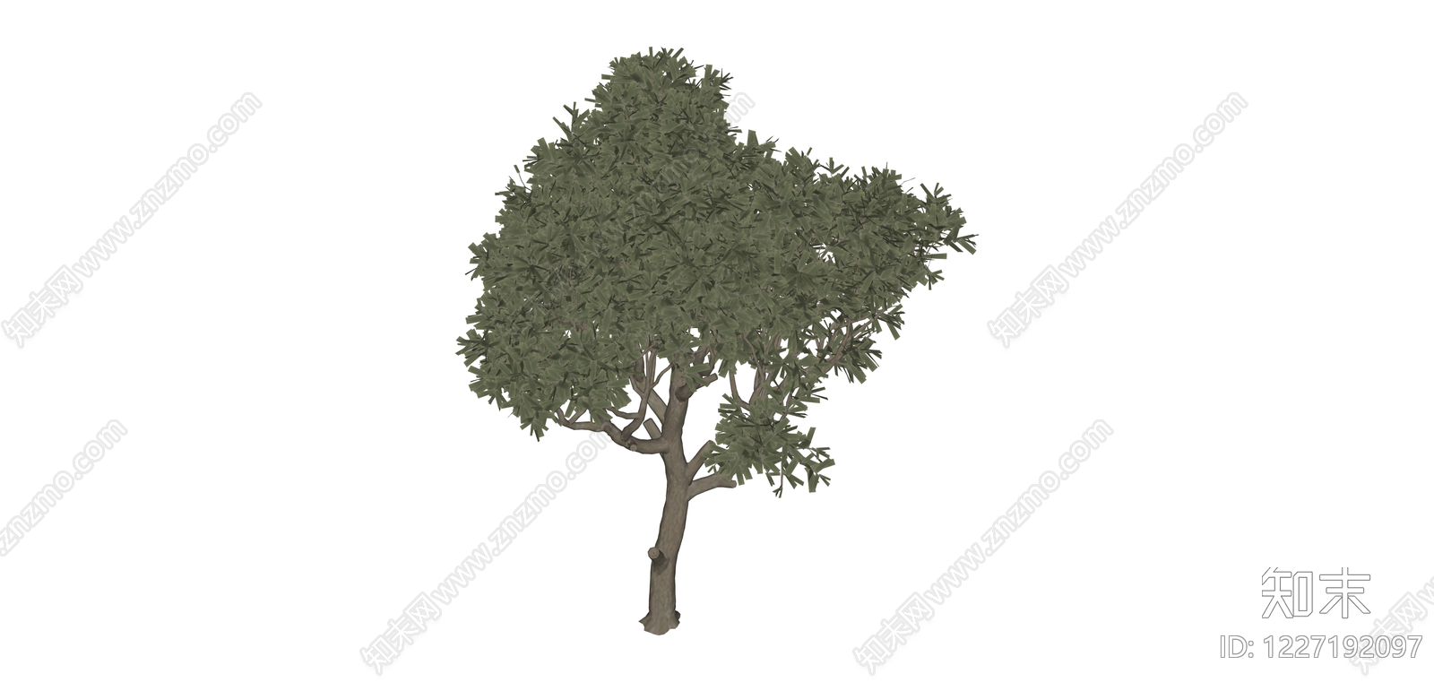 独立景观乔木模型SU模型下载【ID:1227192097】