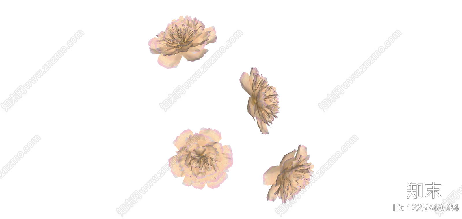多视角康乃馨花束SU模型下载【ID:1225749584】