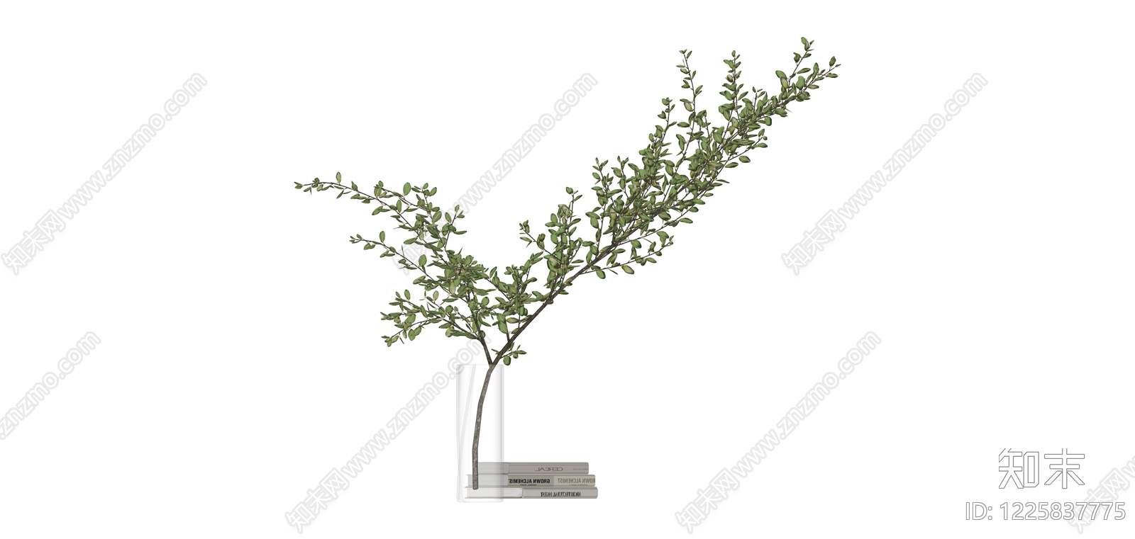 带书花瓶绿植组合SU模型下载【ID:1225837775】